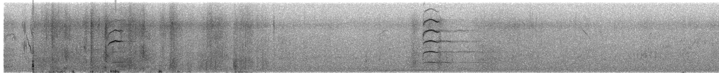 Giant Wood-Rail - ML642680746