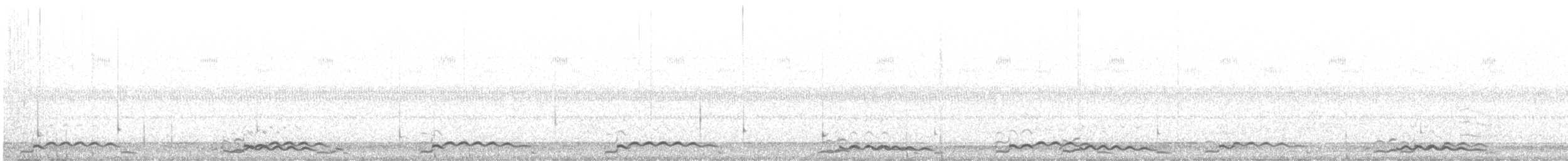 Plongeon huard - ML642681196
