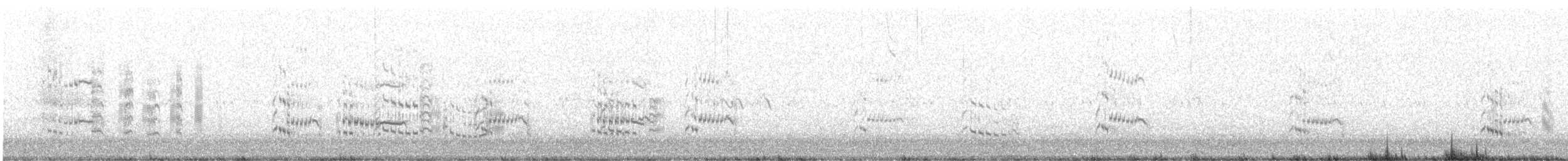 Royal Tern - ML642682063