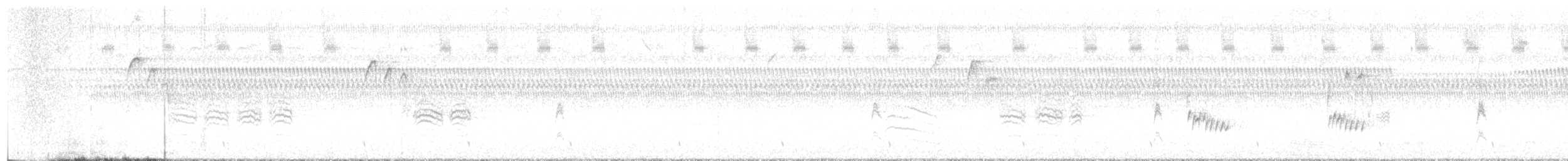 Carolina Wren - ML642682833