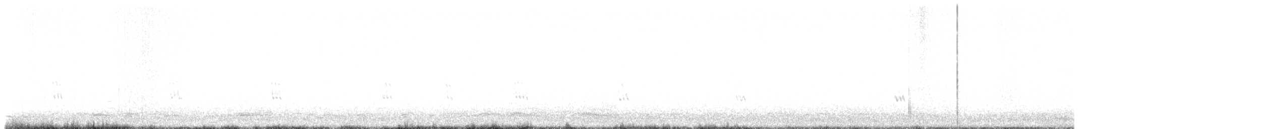 Piovanello pettorale - ML642683027