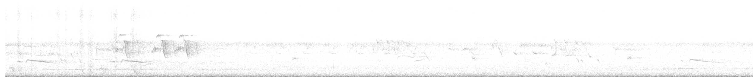 Gray-bellied Cuckoo - ML64268481