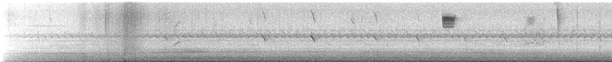 Lincoln's Sparrow - ML642686122