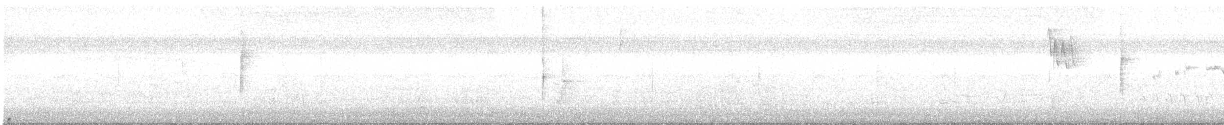 Black-throated Green Warbler - ML642689042