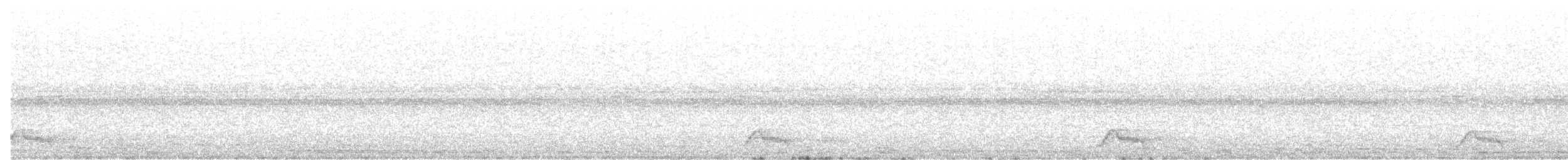 Common Pauraque - ML642689054