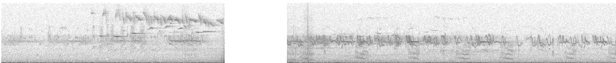 Southern Emuwren - ML642689839