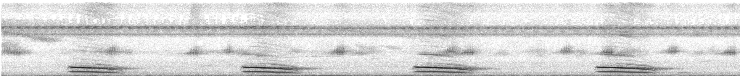 Collared Forest-Falcon - ML642690631
