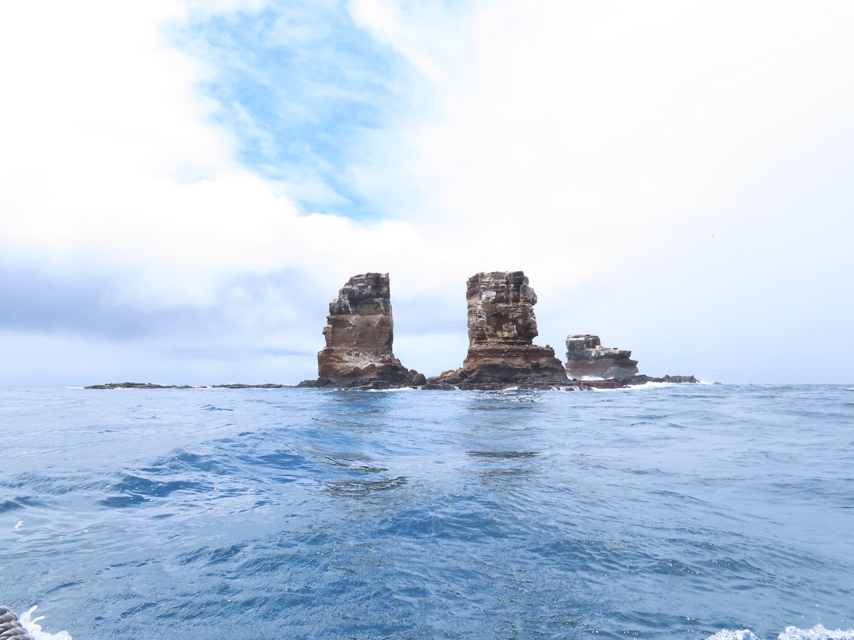 null - ML642690767