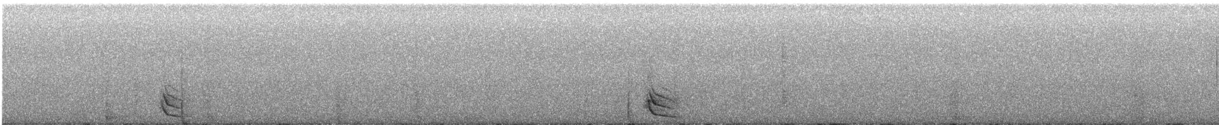 Australian Owlet-nightjar - ML642691658