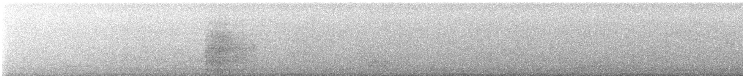 ニジハバト - ML642692100