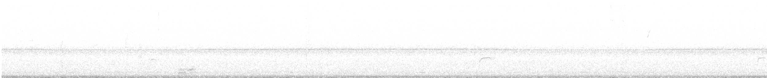 Swainson's Thrush - ML642692319