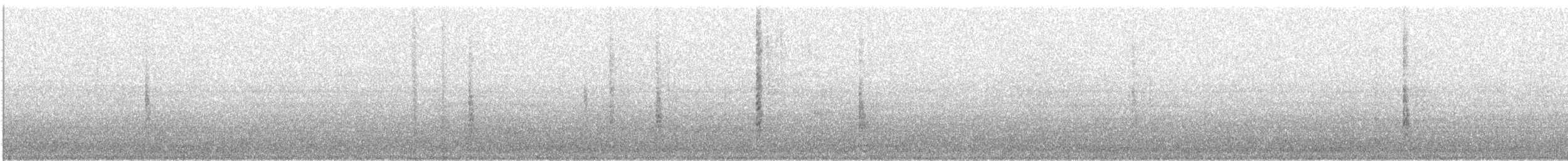 Brewer's Blackbird - ML642694302