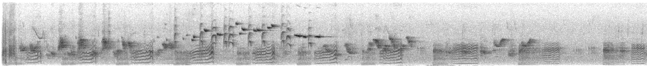 Lewin's Rail - ML642695404