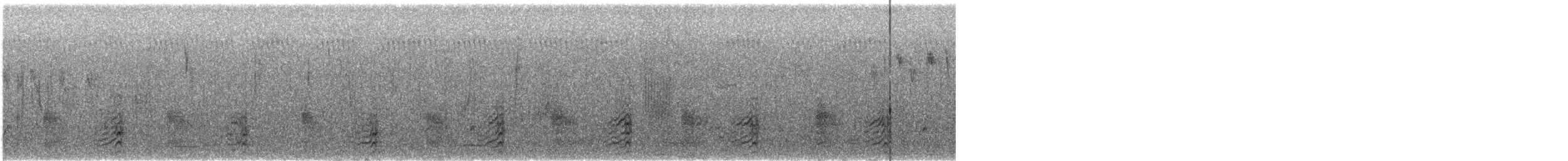 Lewin's Rail - ML642695438
