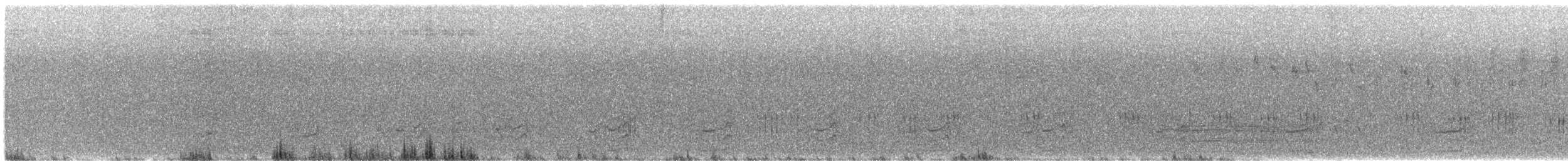Lewin's Rail - ML642695481