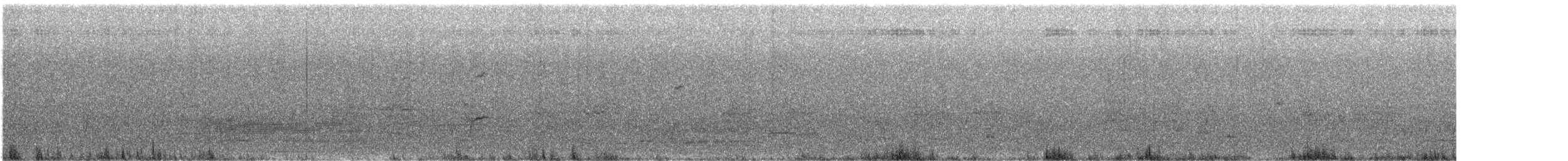 Lewin's Rail - ML642695493