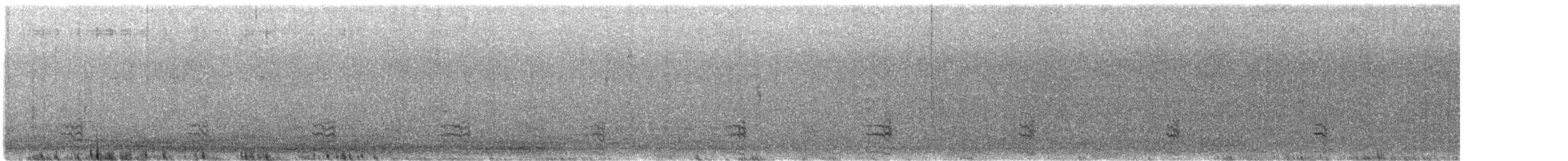 Lewin's Rail - ML642695609