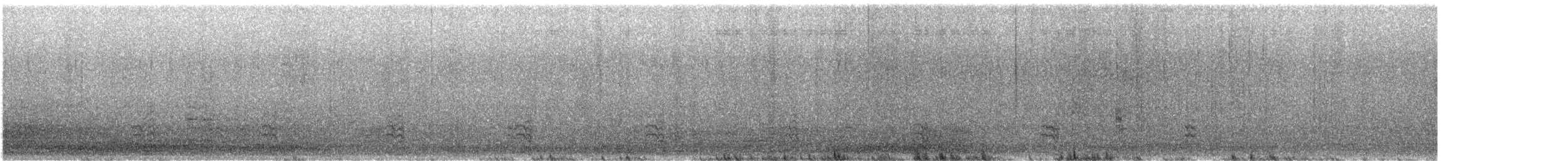 Lewin's Rail - ML642695610