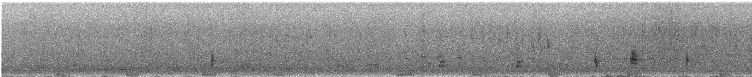 Lewin's Rail - ML642695671
