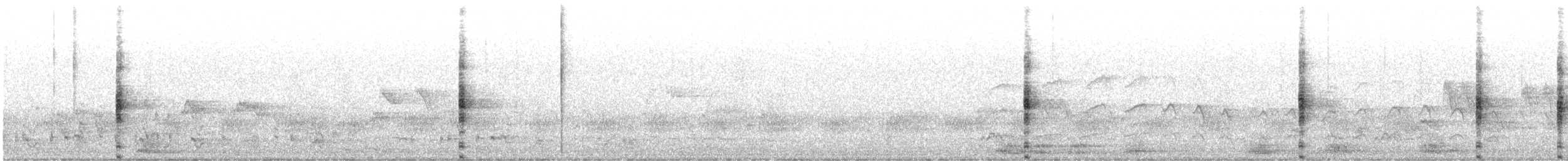 Lewin's Rail - ML642695787