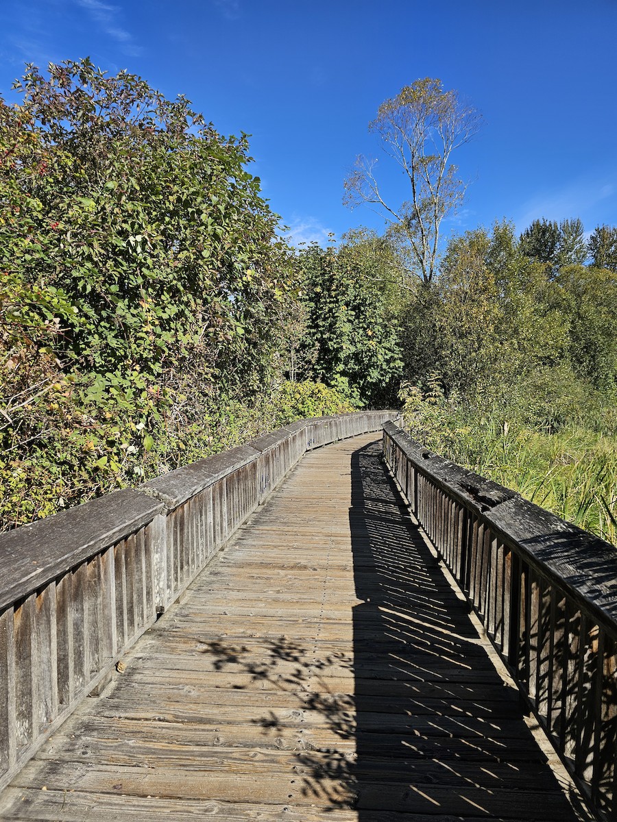 null - ML642696192