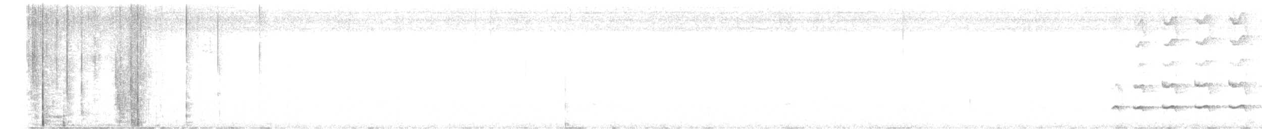 White-browed Woodpecker - ML642697808