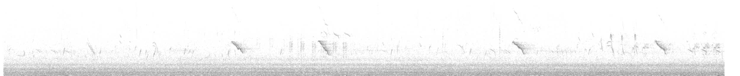 Iberian Chiffchaff - ML642698402
