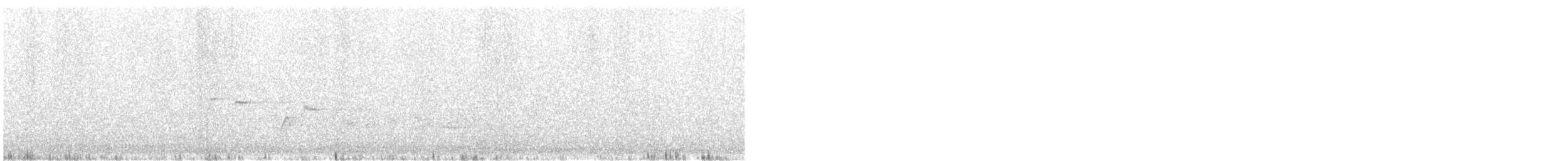 Rhipidure hochequeue - ML642698407