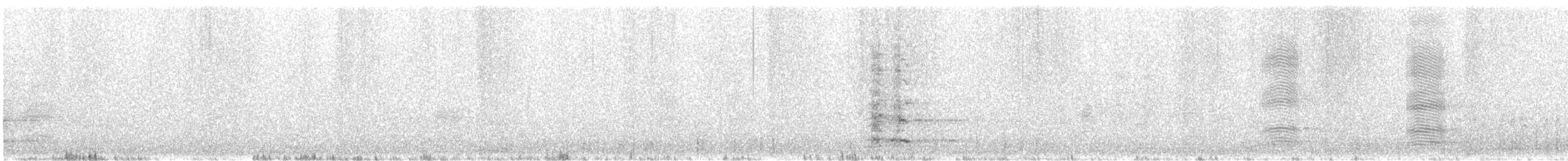 Méliphage barbe-rouge - ML642698410