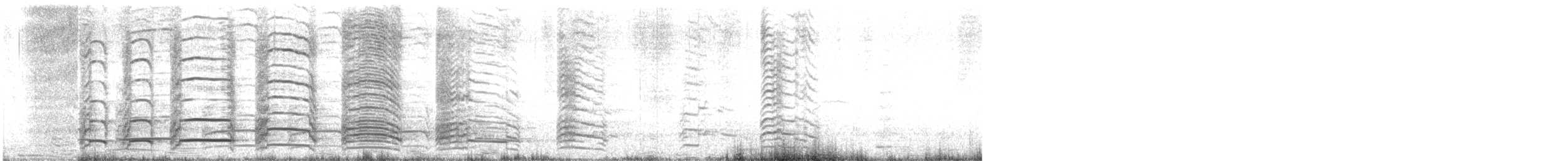 שחף צוחק - ML642698513