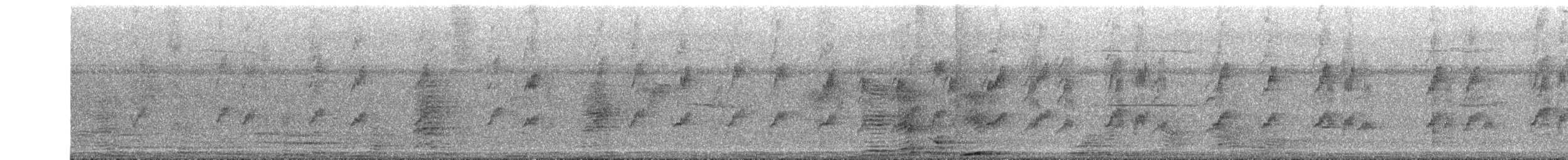 Spot-breasted Fantail - ML642698514