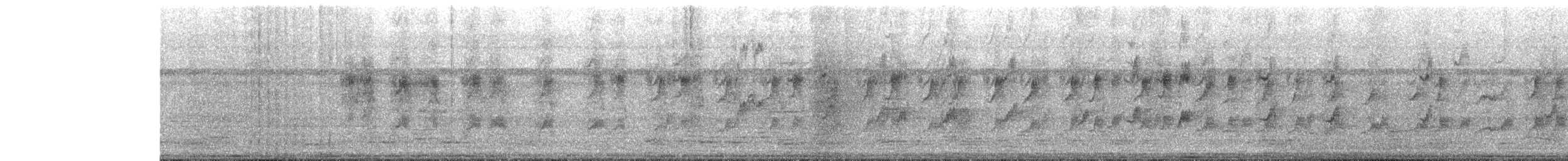 Abanico Pechipinto - ML642698681