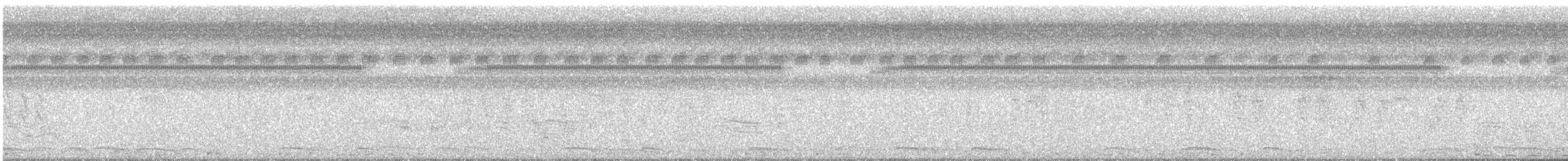 Spot-bellied Bobwhite - ML642698979