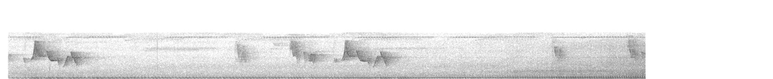 bruntesia - ML642700208