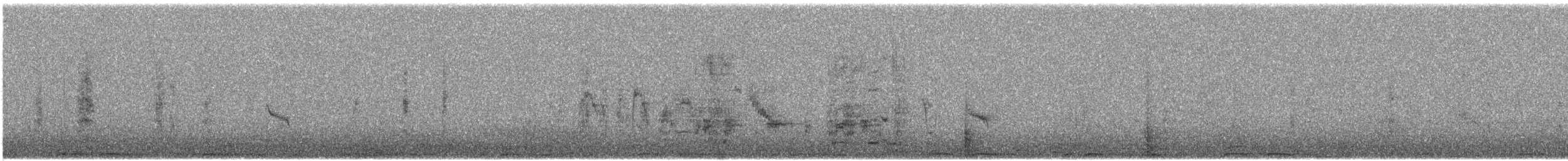 Cape Sugarbird - ML642700906