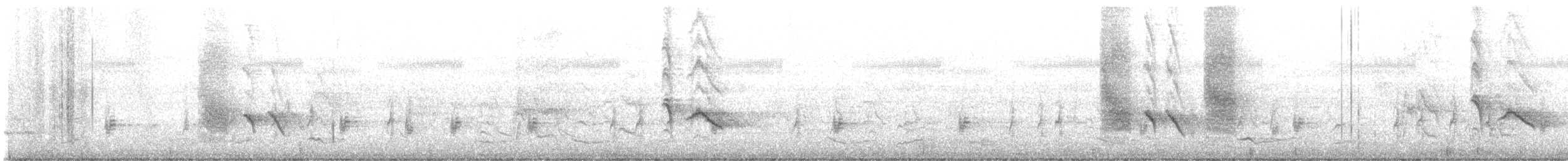 オウチュウ - ML642701029