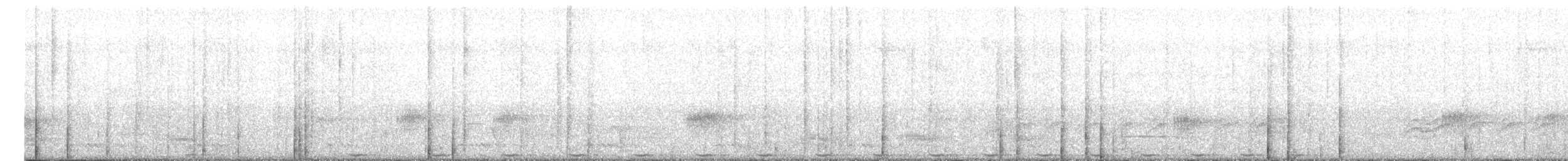 Gray Junglefowl - ML642701583