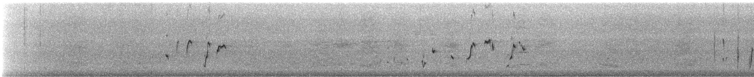 Rhipidure hochequeue - ML642701637