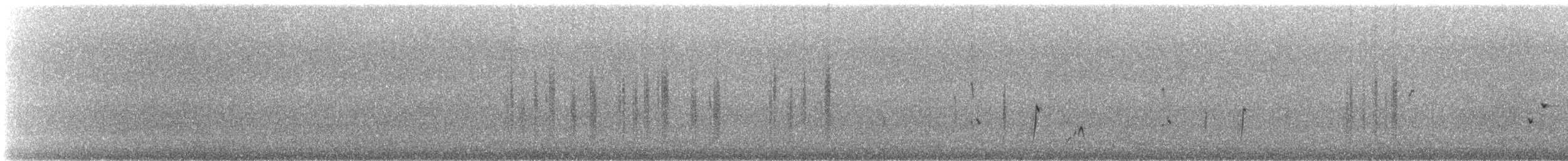 Rhipidure hochequeue - ML642701640