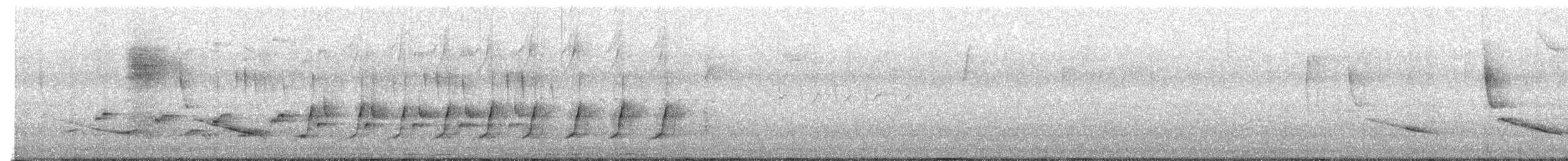 ショウジョウコウカンチョウ - ML642702922