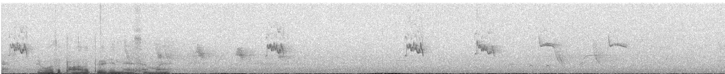 Silvereye - ML642702929