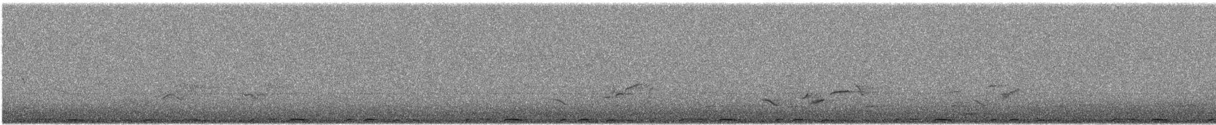 Red-eyed Dove - ML642703115