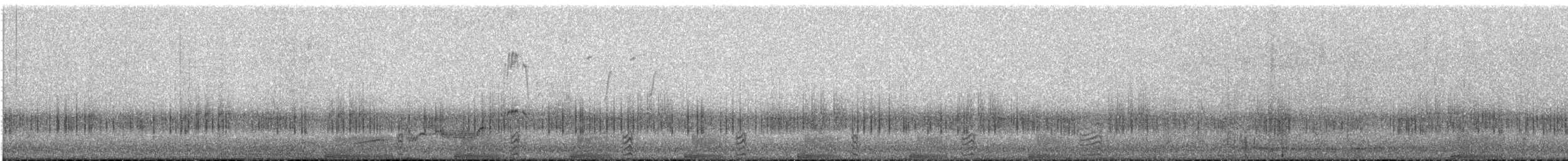 Lewin's Rail - ML642703368