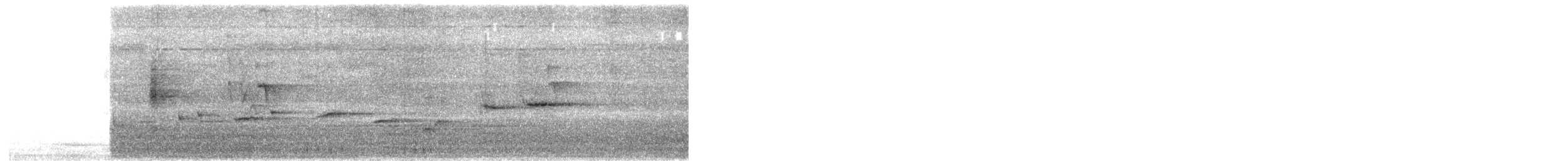 Abanico Pechipinto - ML642703971