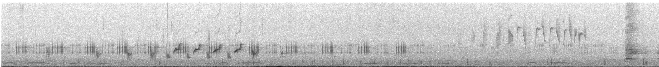 Australian Reed Warbler - ML642704070