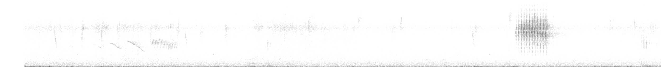 Thorn-tailed Rayadito - ML642705557