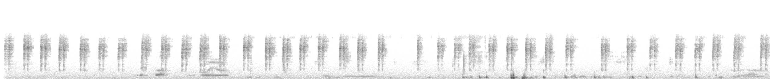 クロオビマユミソサザイ - ML642706214