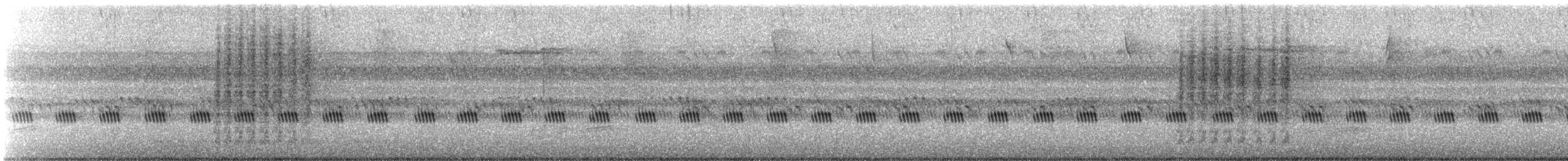 Northern House Wren (Northern) - ML642707937