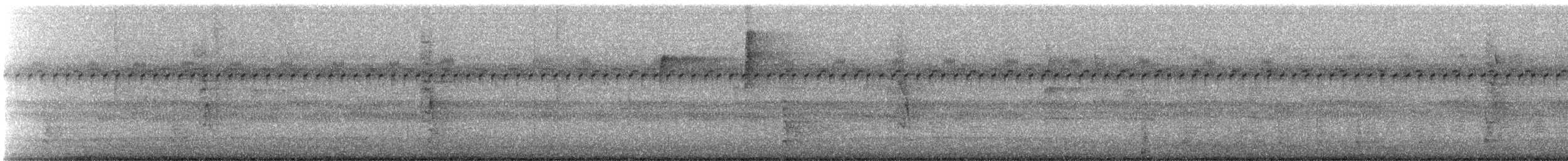 Magnolia Warbler - ML642707998