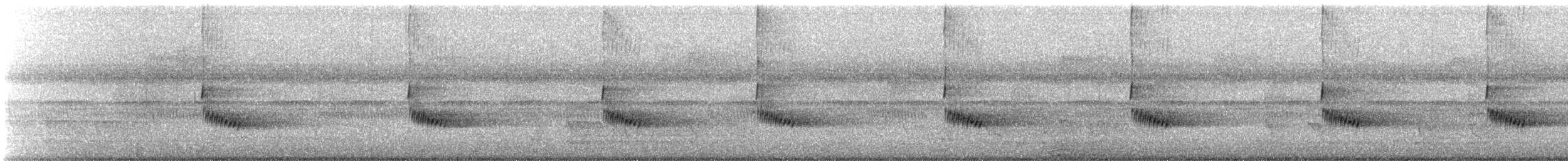 Carolina Wren (Northern) - ML642708067